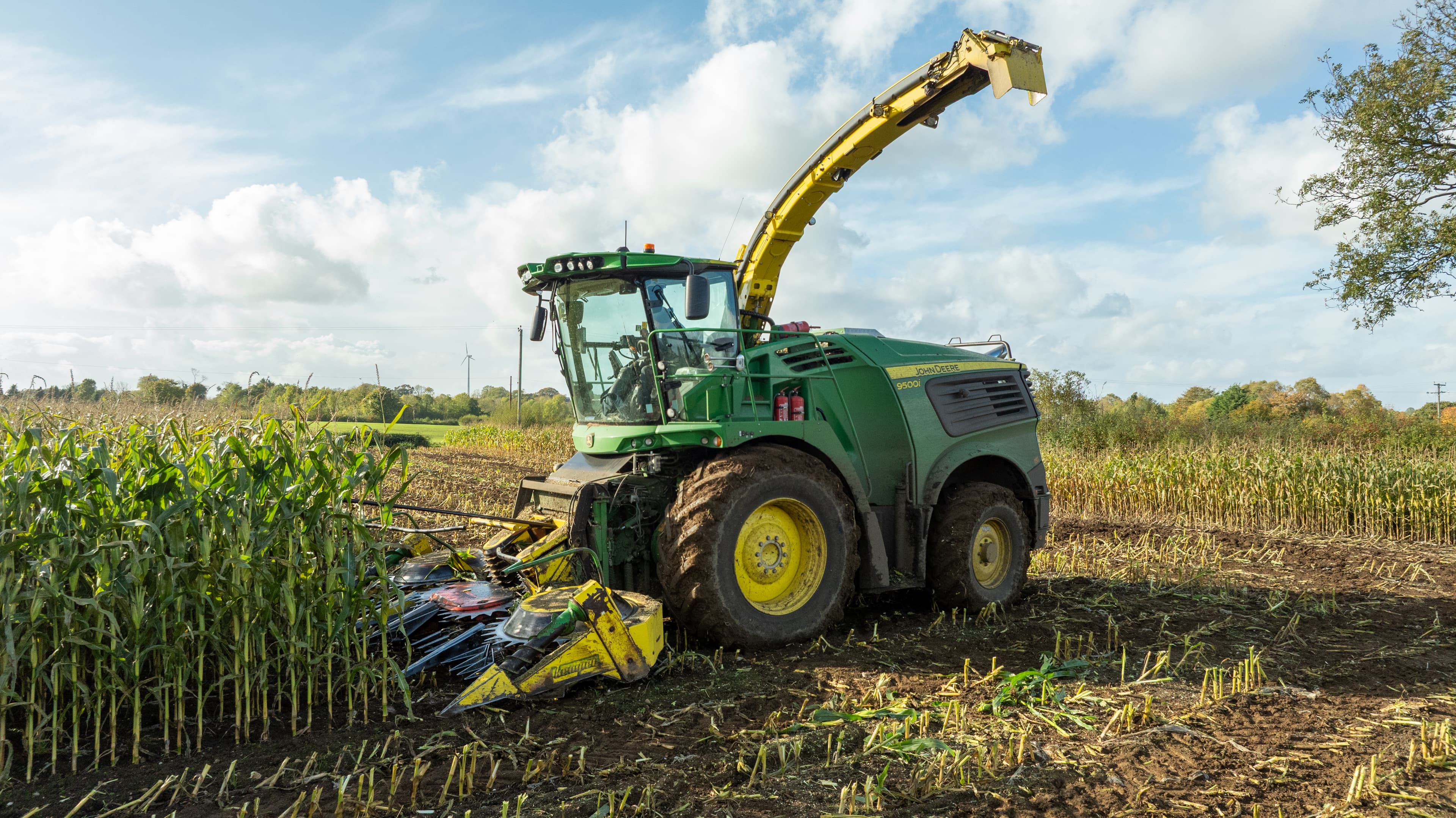 The Looming Crisis For UK Dairy Farms