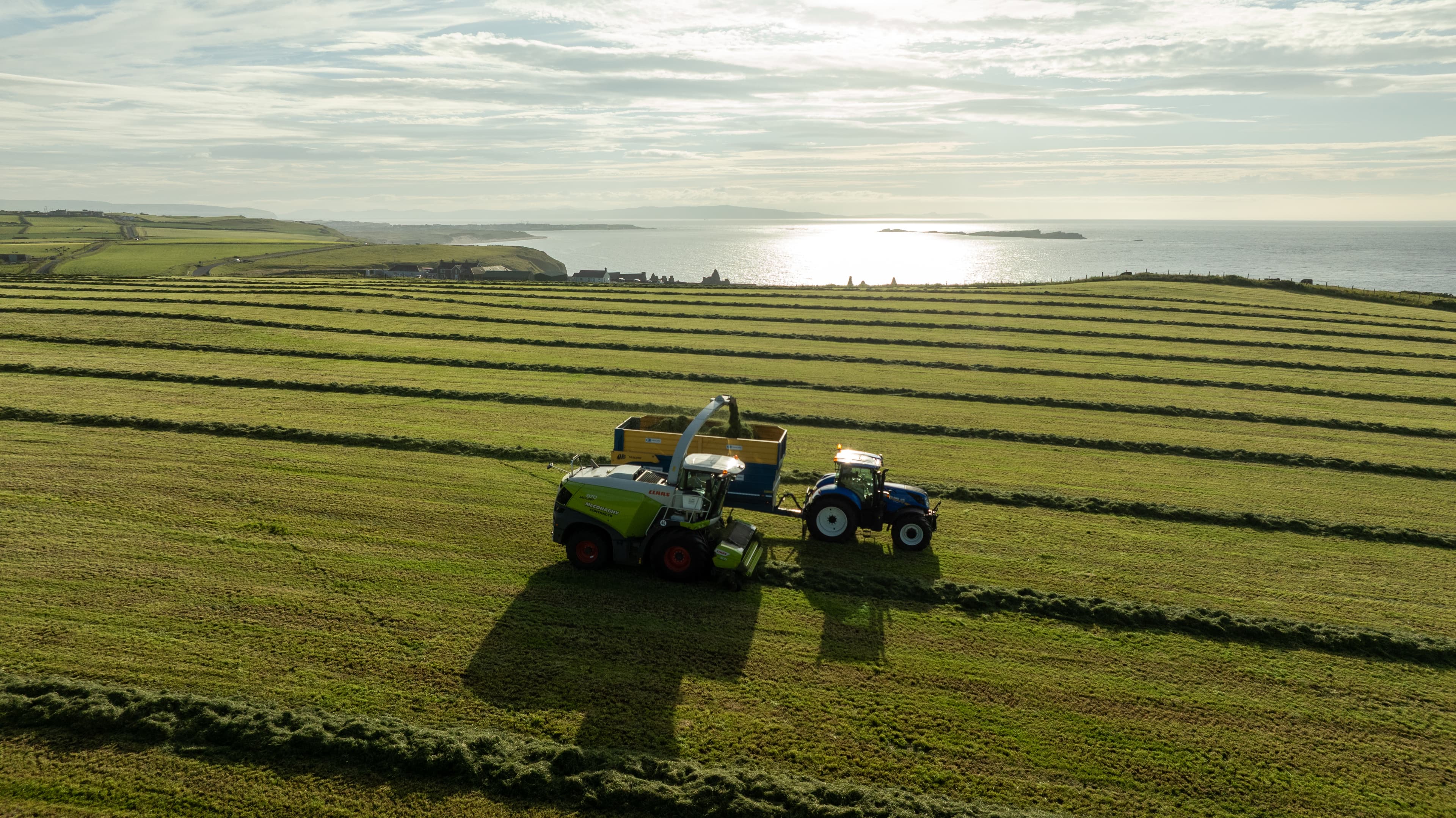 8 Reasons To Buy Local