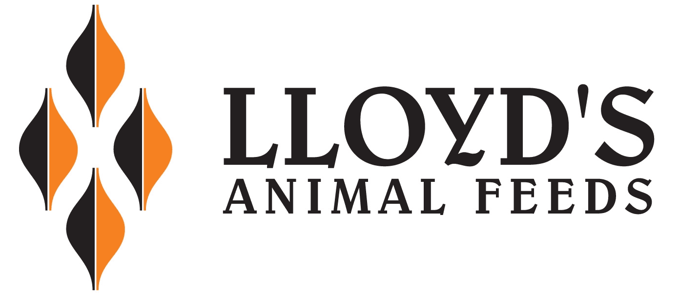 cropped-Logo-Lloyds-big