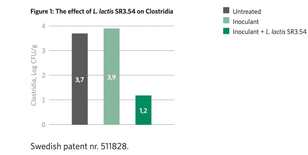 The effect of L. lactis SR3.54 on Clostridia