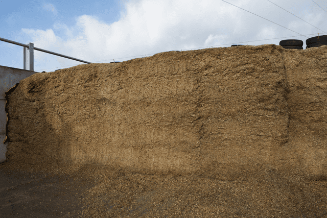 Perfect maize clamp using silosolve fc silage additive