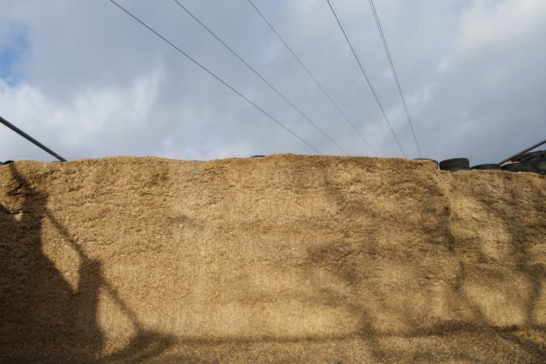 Perfect silage made using SiloSolve FC silage additive for maize
