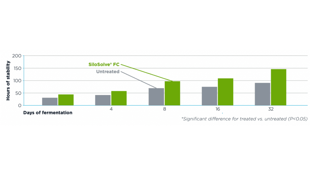 Graph showing Aerobic stability after early opening wholecrop barley hours - SiloSolve FC silage additive