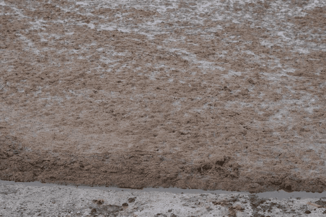 Slurry before Maneuver Lagoon application