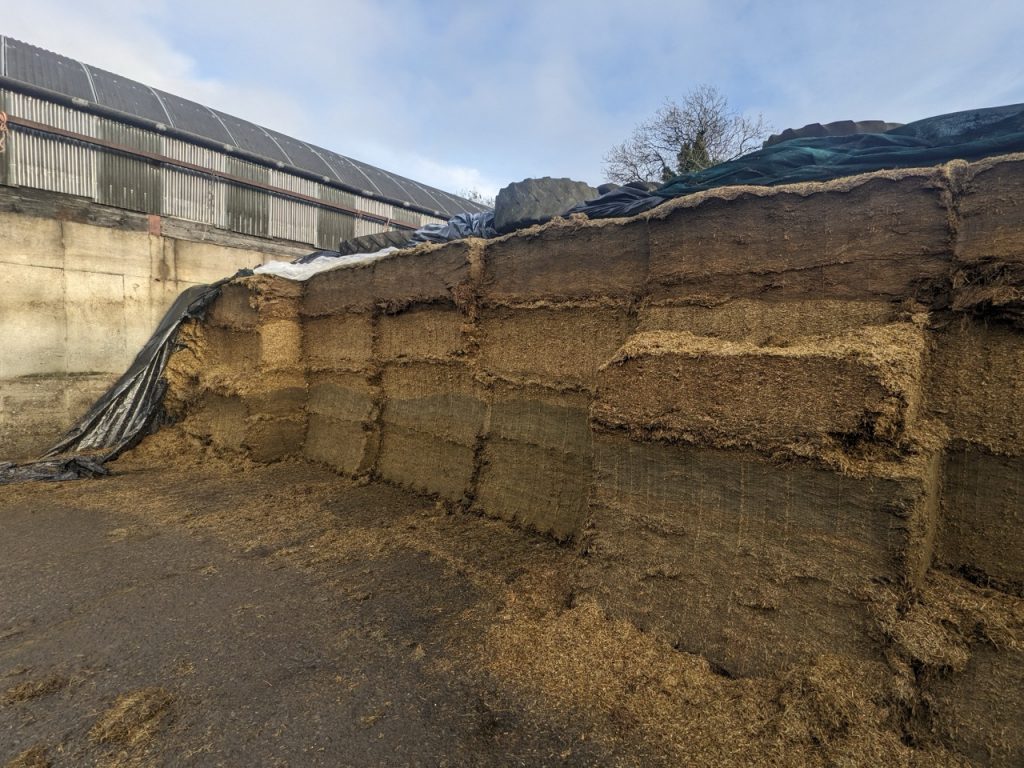 Wholecrop silage and grass silage clamp - SiloSolve FC additive