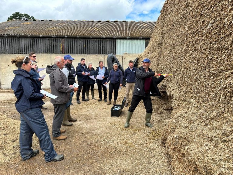 How to make wholecrop silage: temperature test