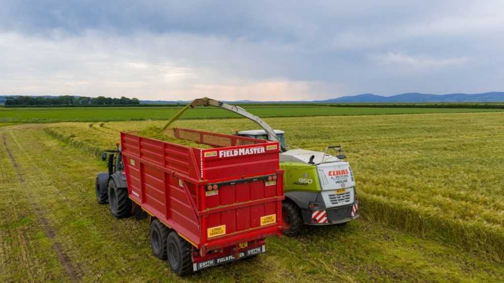 How to make wholecrop silage